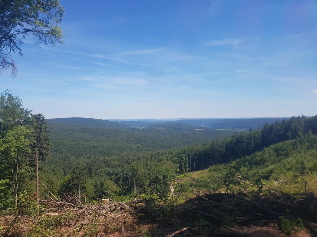 Landgasthof Waldfrieden 호텔 와일덴시 외부 사진